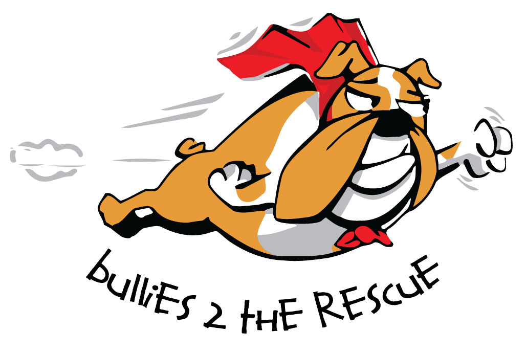 Bullies 2 The Rescue