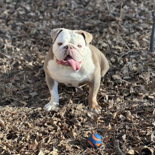 596394078_26304662659122378_2830362280731580517_n