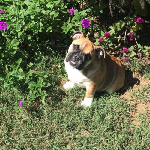 70890507_10215723395263335_5156083517016244224_n