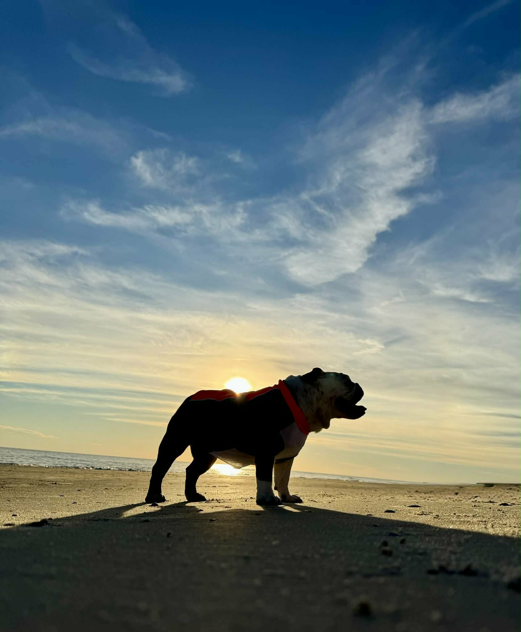 1fa24b18-c5cc-4e0d-8ee9-a27f832a4051