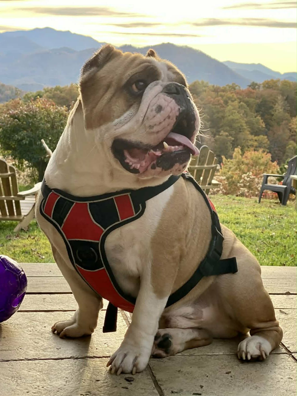 3cd84768-7c65-4bea-9865-3e418b95e92d