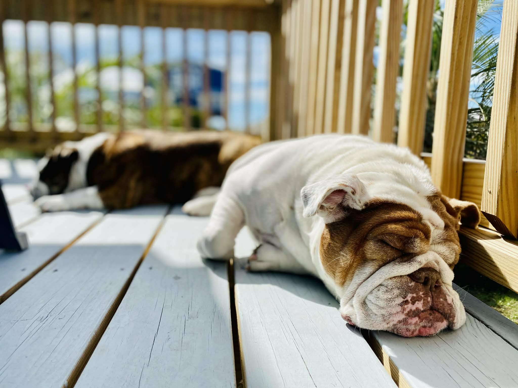 f3393016-ec02-4ee4-852d-b4cc05c60ab5