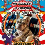 Messenger_creation_5BE0C596-E42C-493C-8073-C1E38848286A