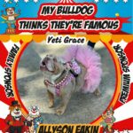 Messenger_creation_8D9657F3-1714-4FC5-B03D-8EBEED9278A2