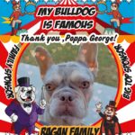 received_26906887552244988